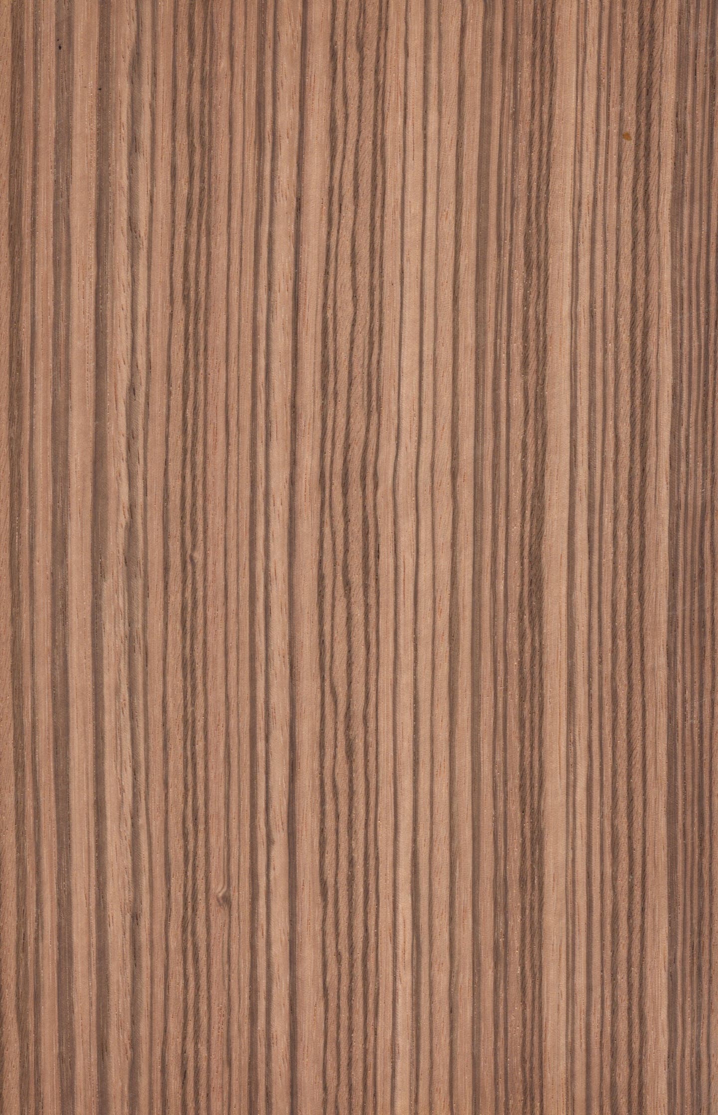zebrawood.jpg